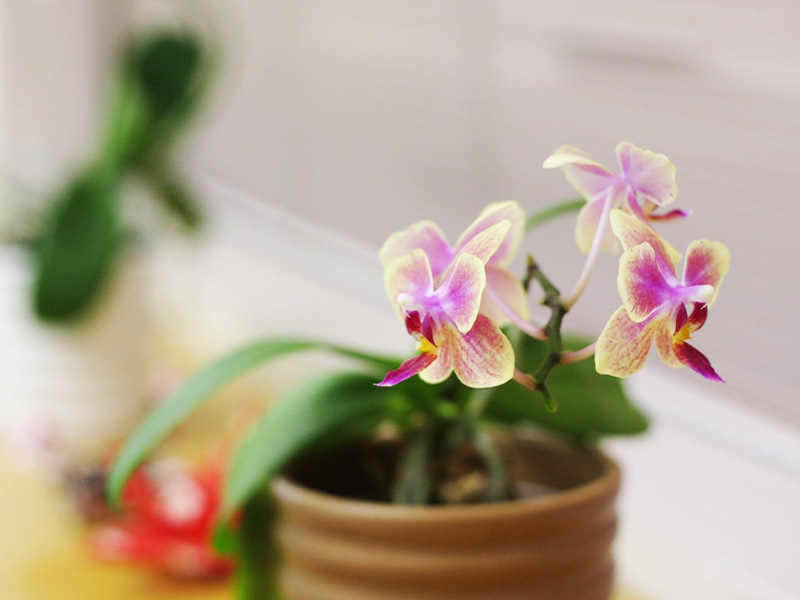 当院の取り組み